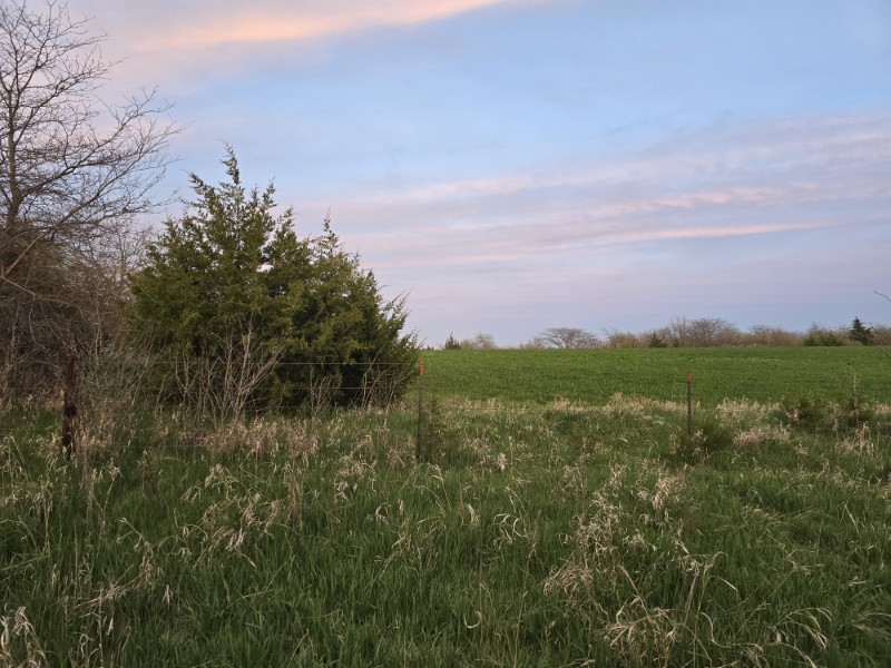Listing photo 59